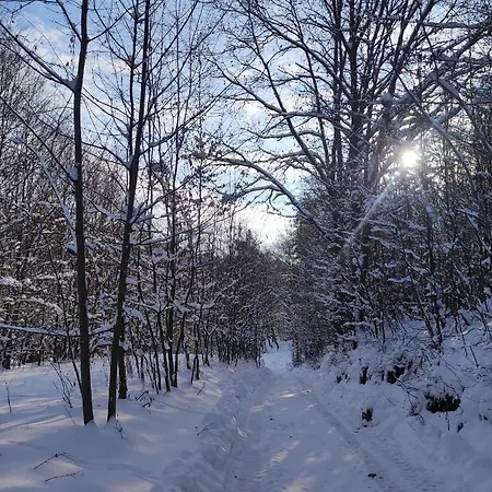 Miedzy Drzewami * Biecz