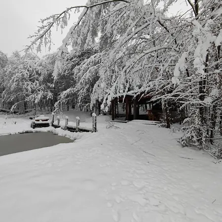 Villa Miedzy Drzewami Biecz