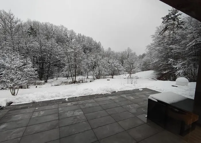 别墅 Miedzy Drzewami *